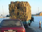 干し草の輸送（UB郊外）