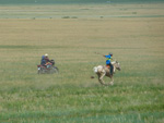 地方競馬（ウムヌデルゲル郡）