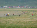 地方競馬（ウムヌデルゲル郡）